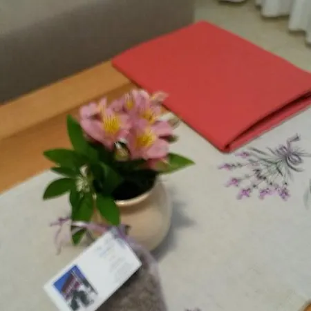 Apartman Soric